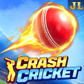 Crash Cricket Game